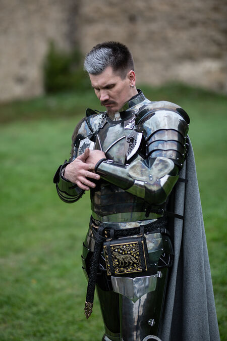 Full Spring Steel Armor Set “Dark Wolf”