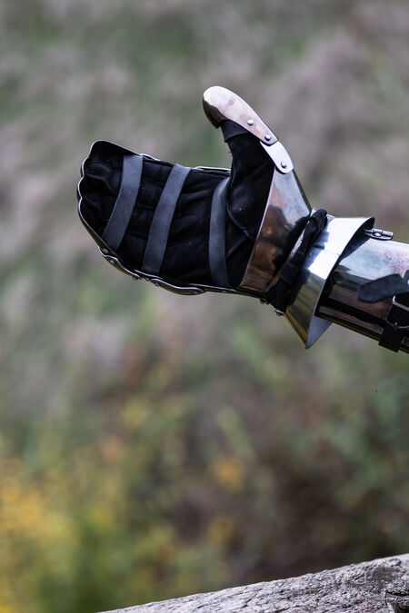 Spring steel gauntlets “Dark Wolf”